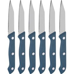 6x Keukenmesjes/schilmesjes RVS met blauw kunststof handvat - Schilmessen