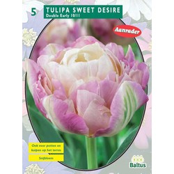 2 stuks - Tulipa Sweet Desire per 5