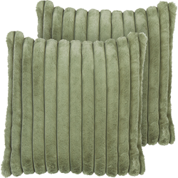 RAKYA - Sierkussen set van 2 - Groen - Polyester