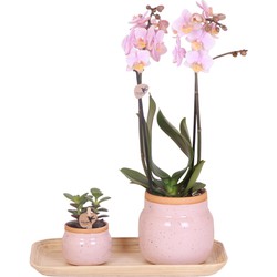 Kolibri Orchids | Plantenset Love pink small| Groene planten met roze Phalaenopsis orchidee in Vintage wit sierpotten en bamboe dienblad