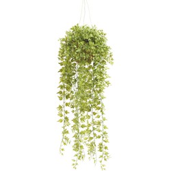 Hangplant met pot 6 - Driesprong Collection