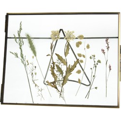 Lijst gedroogde bloem Messing Bronze 20,5x2x15,2 cm - HD Collection