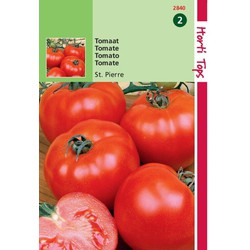 2 stuks - Tomaten St. Pierre grote vollegrondse