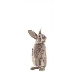 ESTAhome fotobehang konijn bruin - 1 x 2,79 m - 159052