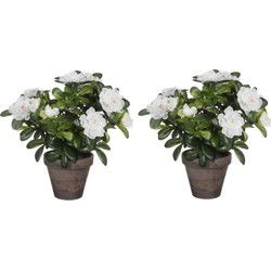 Mica Decorations Kunstplant - 2x - Azalea - groen/wit - 27 cm - Kunstplanten