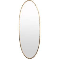 PTMD Tovi Ovale Spiegel - 50 x 3,5 x 140 cm - Ijzer - Goud