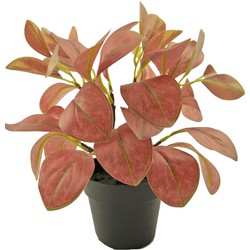 Kunstplant Rohdea 28 cm rood