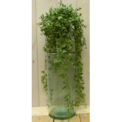 Kunsthangplantje groen met grote bladeren in hangpotje 40 cm - Warentuin Mix