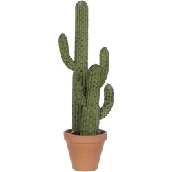 Mica Decorations cactus groen in plastic pot maat in cm: 60cm