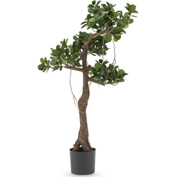 Hoyz Greenery - Kunstplant Ficus Panda 120 cm