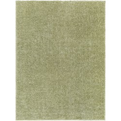 Hoogpolig Shaggy Tapijt CLAIRE - Groen- 200x275 cm 