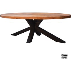 Benoa Elipse Dining Table With Spiderleg 3+3 220 cm