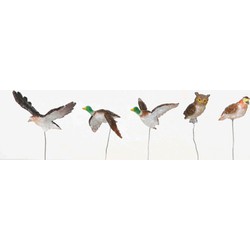 Assorted birds - LEMAX