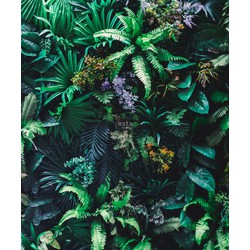 ESTAhome fotobehang tropische planten groen - 2,325 x 2,79 m - 158900