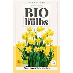 3 stuks - Narcissus Tete-a-Tete 4 bollen