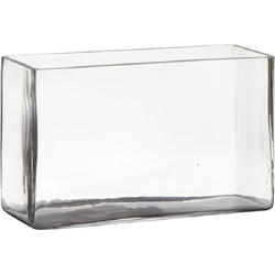 Transparante rechthoek accubak vaas/vazen van glas 25 x 10 x 15 cm - Vazen