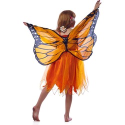 Dreamy Dress-Ups Dreamy Dress-Ups Jurk met vleugels s: oranje 4-6