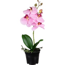 Louis Maes Orchidee bloemen kunstplant op plug - bloemen/bloemetjes - roze/groen - H33 cm - Kunstplanten