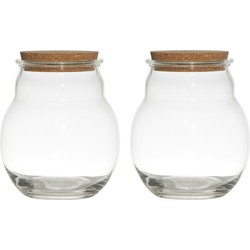 Set van 2x stuks glazen voorraadpotten/snoeppotten/terrarium vazen van 17 x 20 cm met kurk dop - Voorraadpot