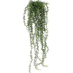 Kunst hangplant Pumila 68 cm