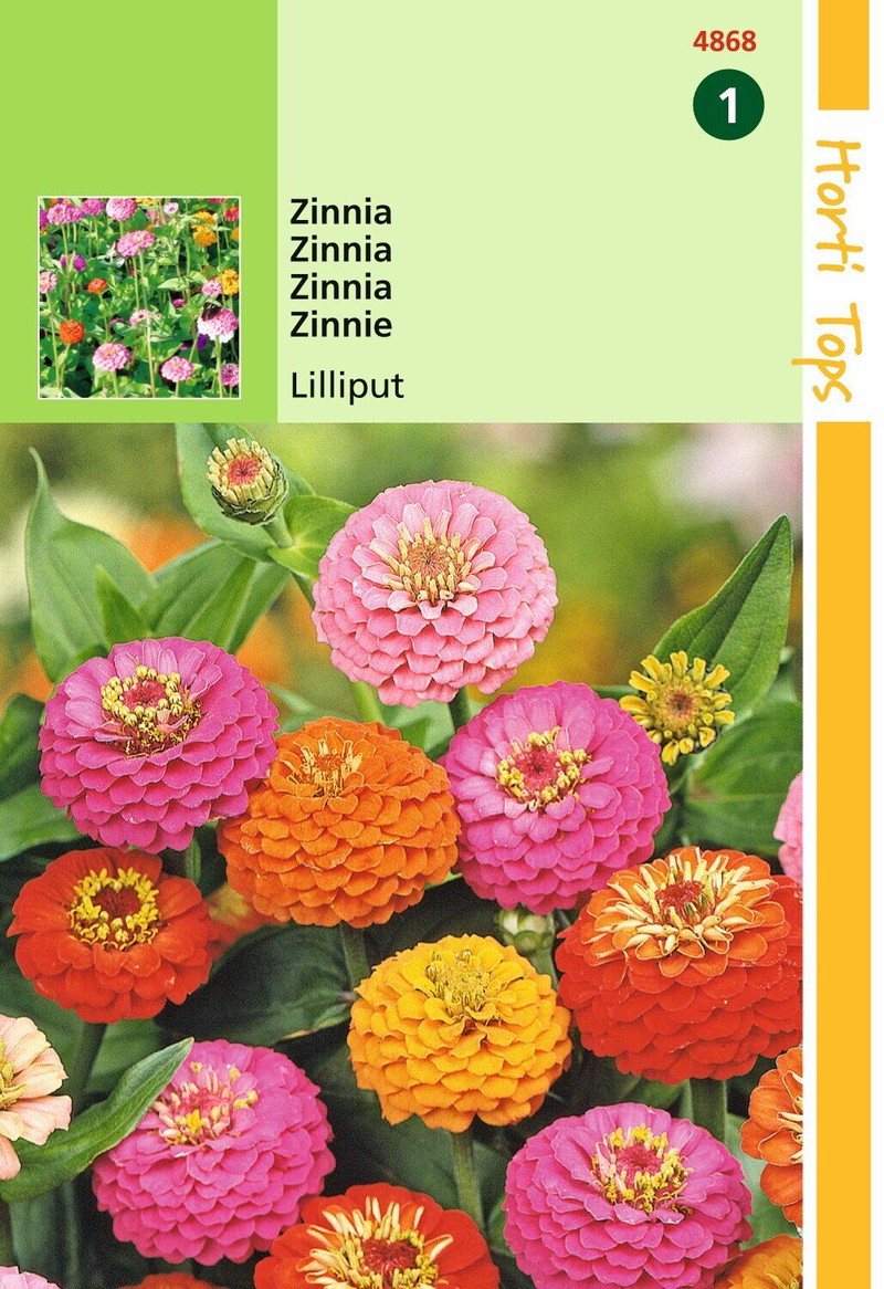 2 stuks - HT Zinnia Liliput gemengd - Hortitops - 