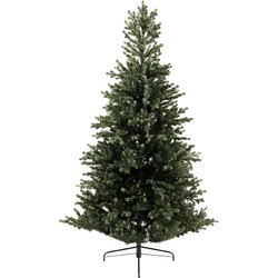 Geneva fir d136h240 cm groen kerst