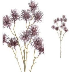 PTMD Twig Plant Pijnboom Naald Kunsttak - 40 x 23 x 66 cm - Paars