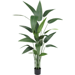 Kunstplant Heliconia 150 cm