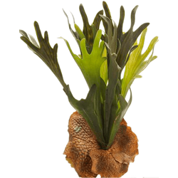 Hertshoorn varen 38 cm kunstbloem zijde nepbloem