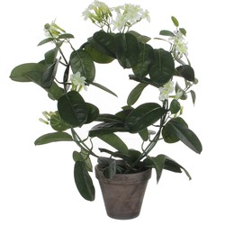 Stephanotis bruidsbloem kunstplant/kamerplant wit in grijze sierpot H50 cm x D40 cm - Kunstplanten