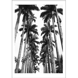 Palmtrees 2 (50x70cm)