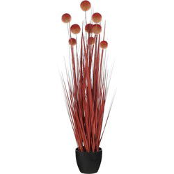 Mica Decorations Kunstplant Pom pon grass - 20x20x90 cm - PVC - Donker Rood