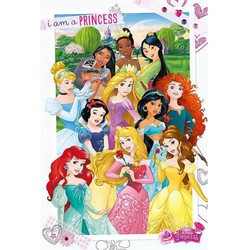 Prinsessen maxi poster 61 x 91,5 cm - Posters