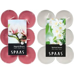 Candles by Spaas geurkaarsen - 24x stuks in 2 geuren Jasmin en Magnolia Flowers - geurkaarsen