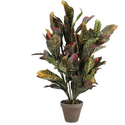 Mica Decorations croton groen in pot stan grijs dia in cm: 15 - 73x40