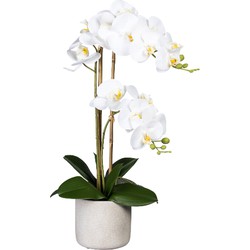 Kopu® Kunstbloem Orchidee 60 cm Wit met cement Sierpot - Phalenopsis