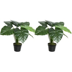 2x Groene taro kunstplanten 52 cm met zwarte pot - Kunstplanten