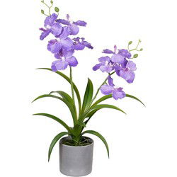 Louis Maes Kunstplant Orchidee - paars bloemen in pot - 38 cm - Kunstplanten