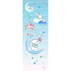 Komar fotobehang Winnie de Poeh babyblauw - 100 x 280 cm - 610036