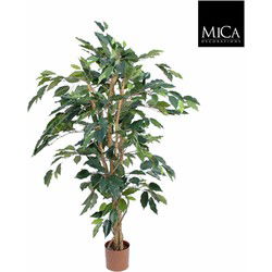 Mica Decorations ficus benjamina 105x60 cm groen in plastic pot