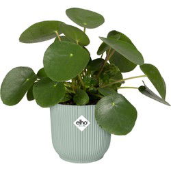 Vibes fold rond mini 9cm sorbet groen