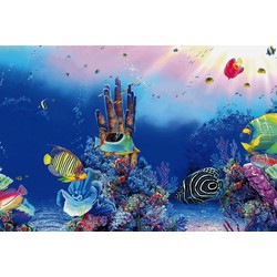 Superfish deco poster f1 60x30 cm
