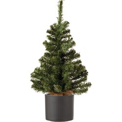 Volle mini kerstboom groen in jute zak 60 cm inclusief donkergrijze pot - Kunstkerstboom