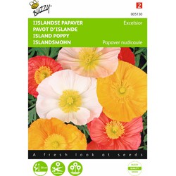 2 stuks - Papaver nudicaule excelsior Gem. IJslandse Papaver