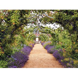 Lavendel tuin 70x50cm Tuinschilderij - Customize-it