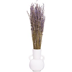 QUVIO Decoratieve vaas  met handvatten– Keramiek – Wit
