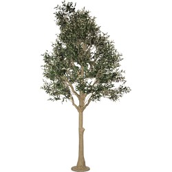 Clayre & Eef Kunst Olijfboom 320 cm Groen Kunststof