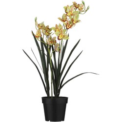 Mica Decorations Cymbidium Kunstplant - H92 x Ø19 cm - Pot - Groen