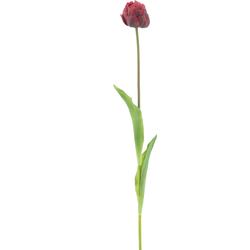 PSO Tulip spray Paris Sally red 79 cm kunstbloem