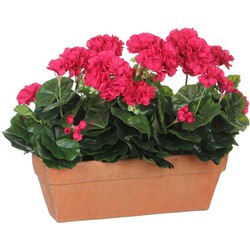 Mica Decorations geranium donkerroze in balkonbak terra - 39x13x40